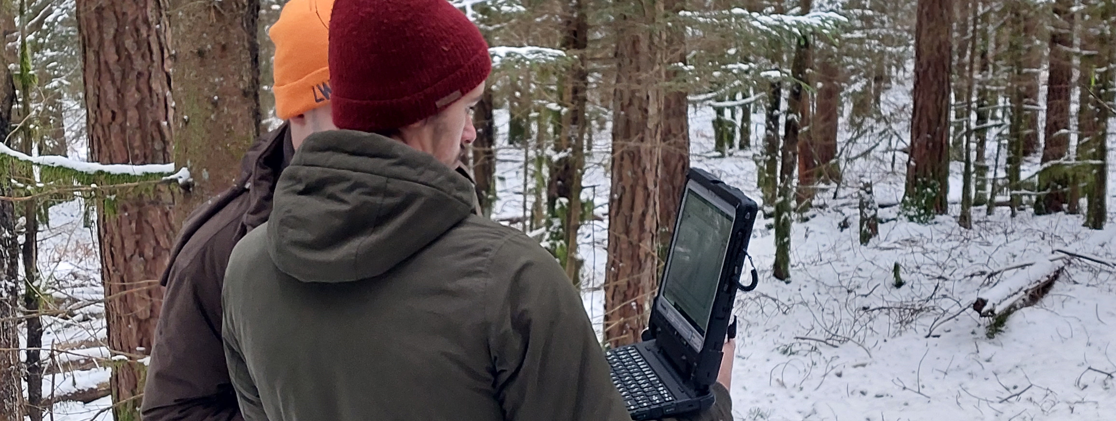 Datenauslesen im Wald